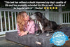 Big Barker 7" Pillow Top Orthopedic Dog Bed for Large and Extra Large Breed Dogs (Headrest Edition) - BESTMASCOTA.COM