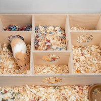 Niteangel 6-Chamber Hamster House Maze & Add-on - 6-Room Hideouts & Tunnel Exploring Toys for Hamster Gerbils Mice Lemmings Rats - BESTMASCOTA.COM