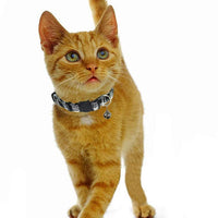 BWOGUE Collar para gato con campana – 6 paquetes de colores clásicos a cuadros, collares de seguridad ajustables para cachorro de gatito - BESTMASCOTA.COM