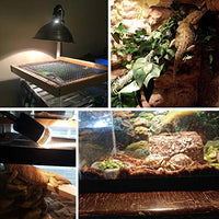 OMAYKEY 50W Basking Spot lámpara de calor foco blanco suave resplandor UVA cubierta de vidrio lámpara de calor/bombilla/luz para Lizard camaleón barbudo dragón serpiente acuario reptiles y anfibios – 2 unidades - BESTMASCOTA.COM