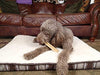 Yak Snak Dog Chews - All Natural Hard Cheese Himalayan Dog Treats - Long Lasting Dog Chews, Made from Yak Milk, Small, Medium. Large & Extra Large Sizes - BESTMASCOTA.COM