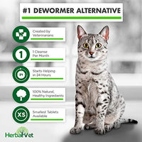 HerbalVet 10 Tablets Cat Intestinal Cleanse | Cat Dewormer Alternative | Cleansing Tablets for Cats, Promotes Intestinal Health | 4 Tablets, Works for Kittens | Helpful E-Book Included - BESTMASCOTA.COM