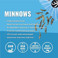 Vital Essentials Freeze-Dried Grain Free Limited Ingredient Dog Treats - BESTMASCOTA.COM