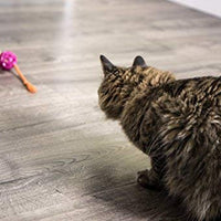 SmartyKat - Juguete para gatos con pluma - BESTMASCOTA.COM