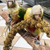 Nemeth Farms Worlds - Spray de mijo original para pájaros y suplemento no transgénicos para todas las aves de mascotas, parakeets, cockatiels, Lovebirds y Finches - BESTMASCOTA.COM