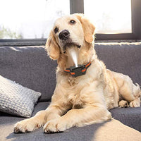 Zeonetak collar de corteza en spray para entrenamiento de perro, Citronella Control Stop ladrando collar para perros pequeño, mediano, grande, ajustable, recargable, impermeable, sin golpes y humanos - BESTMASCOTA.COM