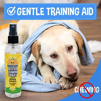 Bodhi Dog Bitter Lemon Spray | Stop Biting and Chewing for Puppies Older Dogs and Cats | Anti Chew Spray Puppy Kitten Training Treatment | 100% Non Toxic | Made in USA - BESTMASCOTA.COM