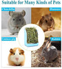 STKYGOOD - Comedero para conejos, conejos, conejos, conejillos de indias, heno, comedero de heno con chinchilla de plástico - BESTMASCOTA.COM
