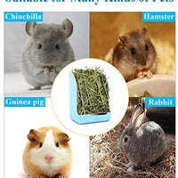STKYGOOD - Comedero para conejos, conejos, conejos, conejillos de indias, heno, comedero de heno con chinchilla de plástico - BESTMASCOTA.COM