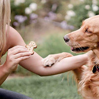 Buddy Galletas sin granos suaves y masticables saludables para perros, bajo en calorías - BESTMASCOTA.COM