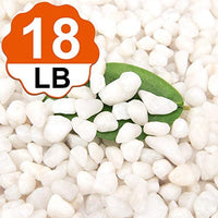 [18 Pounds] White Pebbles Aquarium Gravel River Rock,Natural Polished Decorative Gravel,Garden Ornamental Pebbles Rocks,White Stones,Polished Gravel for Landscaping Vase Fillers White Mini (White) - BESTMASCOTA.COM