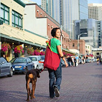 ¡Chuckit! Lanzador deportivo de pelotas para perro. - BESTMASCOTA.COM