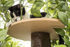 On2Pets Cat Condo Muebles - BESTMASCOTA.COM