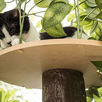 On2Pets Cat Condo Muebles - BESTMASCOTA.COM