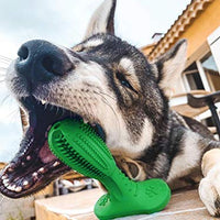 Cepillo de dientes de goma natural para perros de HETOO - BESTMASCOTA.COM