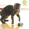 Ito Rocky Cat Juguetes interactivos de persecución – Juguete de perseguidor de plumas – Juguete giratorio – Ratón de control remoto – Juguete de cuerda de vuelo - BESTMASCOTA.COM