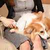 iPettie - Secador de pelo 2 en 1 para mascotas con cepillo para cortar | mejor ajuste para razas de pelo corto y con revestimiento mediano - BESTMASCOTA.COM