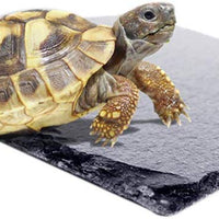 Natural Reptile Habitat Rocks, Plataforma de Basking de tortugas accesorio decoración para el Hábitat Amphibian - BESTMASCOTA.COM
