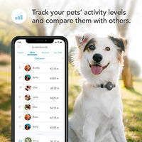 Findster Duo+ Pet Tracker Free of Monthly Fees - GPS Tracking Collar for Dogs and Cats & Pet Activity Monitor - BESTMASCOTA.COM