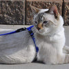 Coastal Pet Adjustable Figure H Cat Harness | Girth Size: 10" to 18" | One Size Fits Most - BESTMASCOTA.COM