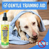 Bodhi Dog Bitter Lemon Spray | Stop Biting and Chewing for Puppies Older Dogs and Cats | Anti Chew Spray Puppy Kitten Training Treatment | 100% Non Toxic | Made in USA - BESTMASCOTA.COM