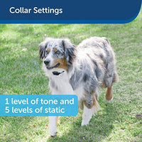 PetSafe Free to Roam Dog and Cat Wireless Fence – from the Parent Company of INVISIBLE FENCE Brand – Above Ground Electric Pet Fence - BESTMASCOTA.COM