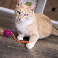 SmartyKat - Juguete para gatos con pluma - BESTMASCOTA.COM