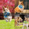 NEILDEN Interactive Dog Toys,Plush Squeaky Giggle Ball,Automatic Electronic Shake Dog Toy,Entertainment Suitable for Small to Medium Dogs Best Gift for Puppy(Two Plush Toys+Squeaker Ball) - BESTMASCOTA.COM