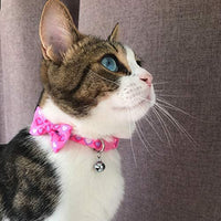 Collar de gato azuza con campana, ajustable para gato con pajarita, collares de seguridad para gatos, paquete de 2 - BESTMASCOTA.COM