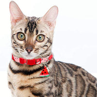 BoomBone 2 collares para gato con colgante seguro para gatitos con campana - BESTMASCOTA.COM