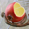 Pxlucky - Comedero para pájaros, cuenco para comida de pájaros, taza para loros pequeños, cacatúas, hámster, pequeño animal, recipiente para agua potable para pájaros, jaula de accesorios - BESTMASCOTA.COM