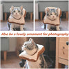 USAMS Collar ajustable para recuperación de gatos, lindo cono de cuello después de la cirugía, curación de heridas, recuperación de cirugía cono Elizabethan collares, borde suave para gatitos y gatos (1 paquete) - BESTMASCOTA.COM