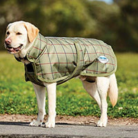 WeatherBeeta Parka 1200D, abrigo para perro - BESTMASCOTA.COM