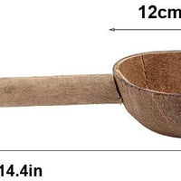 HEEPDD - Comedero de pájaros con perchas, concha de coco natural, contenedor de semillas de comida, soporte para pájaros, juguetes para pájaros y pájaros - BESTMASCOTA.COM