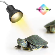 DADYPET 25W Reptile Heat Lamp, Clamp Lamp for Aquarium with Holder UVA UVB Basking Lamp with 360°Rotatable Clip & Power Adapter for Lizard Turtle Snake Aquarium(Lamp Bulb Include) - BESTMASCOTA.COM