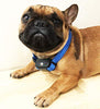 TSWTECH Collar de corteza de citronela para mascotas, collar de corteza de entrenamiento automático, sin golpes, sin daños, collar recargable de citronela antiladridos resistente al agua - BESTMASCOTA.COM