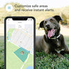 Findster Duo+ Pet Tracker Free of Monthly Fees - GPS Tracking Collar for Dogs and Cats & Pet Activity Monitor - BESTMASCOTA.COM