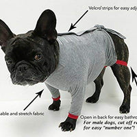 Camiseta de protección post operatoria para perros, mejor que el cono La alternativa más cómoda para recuperación. - BESTMASCOTA.COM