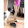 Fumar it. drp-pts-1000 118 ml Instant Pet Formación spray, 4-Ounce - BESTMASCOTA.COM