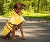 Fashion Pet días lluviosos Slicker Amarillo Raincoat - BESTMASCOTA.COM