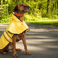 Fashion Pet días lluviosos Slicker Amarillo Raincoat - BESTMASCOTA.COM