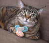 Petlinks Electronic Light Cat Toy - BESTMASCOTA.COM