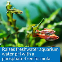 API pH UP Ajustador de pH, eleva el pH del agua del acuario de agua dulce al nivel que tu pescado necesita para prosperar, prueba el agua semanalmente y usa para corregir el nivel de pH. - BESTMASCOTA.COM