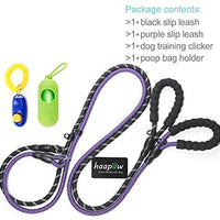 Haapaw 2 paquetes de correa para perro con cómodo mango acolchado reflectante, cuerda de escalada de montaña, correas de entrenamiento para perros grandes, medianos y pequeños (6 pies) - BESTMASCOTA.COM