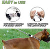 Wellbro collar de entrenamiento con dientes de metal para perros grandes y medianos (Pit Bull, pastor alemán), con hebilla a presión de liberación rápida y puntas de hule, plateado y regulable - BESTMASCOTA.COM