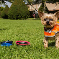 Chaleco reflectante de seguridad para perros, 5 tamaños para adaptarse a perros de 10 libras – 130 libras: alta visibilidad para actividades al aire libre día y noche, mantiene a tu perro visible, seguro de coches y accidentes de caza | Blaze Orange chale - BESTMASCOTA.COM