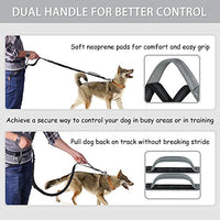 Correa para perro de LANNEY, manos libres, para correr, caminar, correr, entrenar senderismo, correa elástica retráctil para perros medianos a grandes, cinturón de cintura ajustable, costuras reflectantes, doble asa - BESTMASCOTA.COM