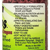 Mordeduras de zona natural para dragones barbudos - BESTMASCOTA.COM