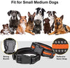 Zeonetak collar de corteza en spray para entrenamiento de perro, Citronella Control Stop ladrando collar para perros pequeño, mediano, grande, ajustable, recargable, impermeable, sin golpes y humanos - BESTMASCOTA.COM