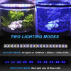 MingDak Luz LED para plantas de acuario, lámpara para tanque de peces, iluminación de espectro completo para acuario de agua dulce, luces LED combinadas de color blanco, azul, rojo - BESTMASCOTA.COM